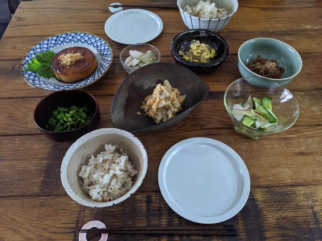 のインスタグラム：「ㅤㅤㅤ 【#blendakitchen 】 Lunch♪ 代わり映えせず… ㅤㅤㅤ ✔︎大根ステーキ ✔︎サーモンのポテサラ ✔︎蕪の葉塩昆布和え ✔︎野菜の塩漬けもの ✔︎豆もやしのナムル ✔︎しらたきチャプチェ風(大好物) ✔︎糠漬け ㅤㅤㅤ サーモンは @patagoniaprovisions.jp  @patagoniaprovisions  のものがあったので使ってみた。 何これめちゃうまじゃん。 保存食に決定！ ㅤㅤㅤ 野菜の塩漬けものは、 @atsutkg にレシピもらった😍」