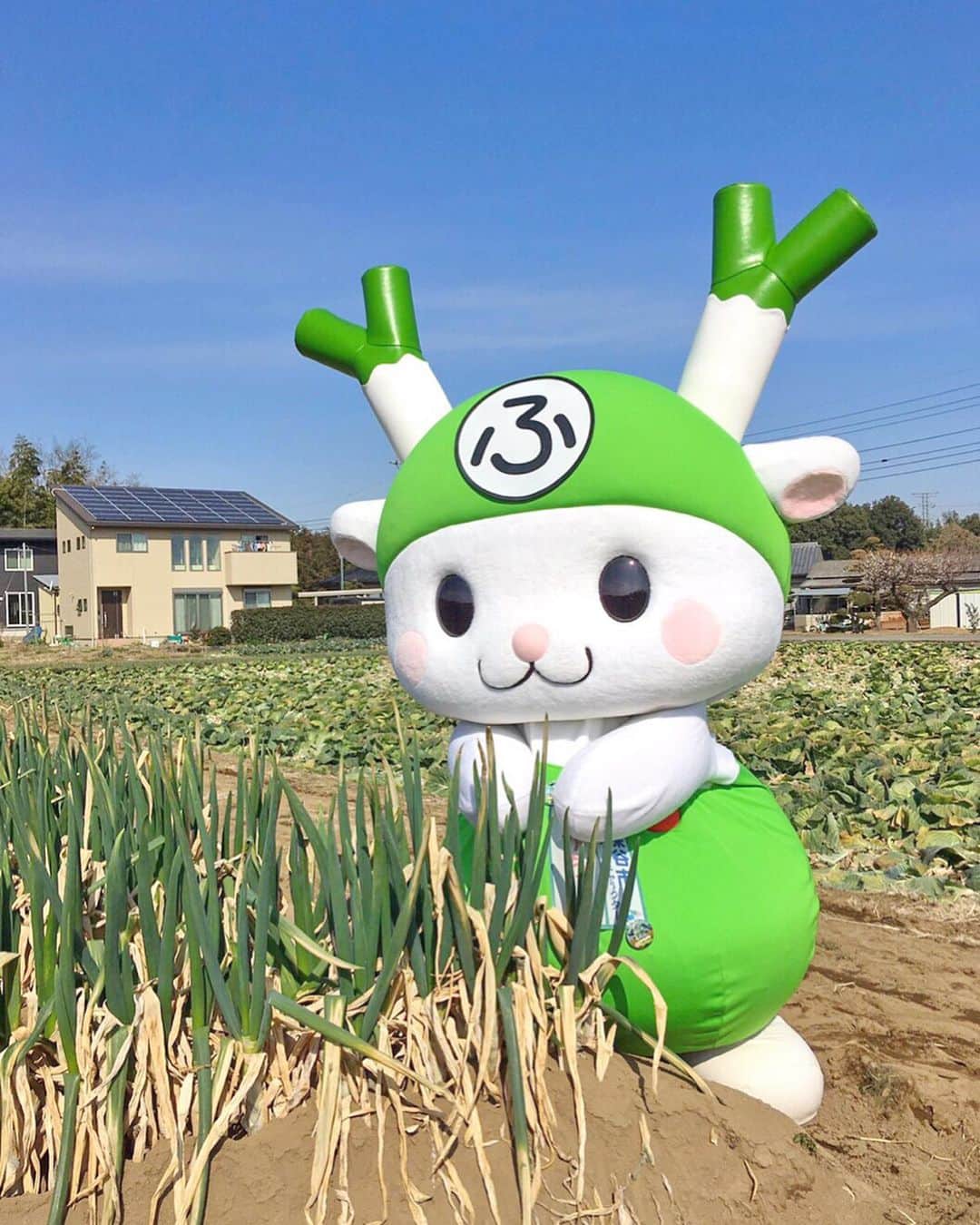 ふっかちゃんのインスタグラム