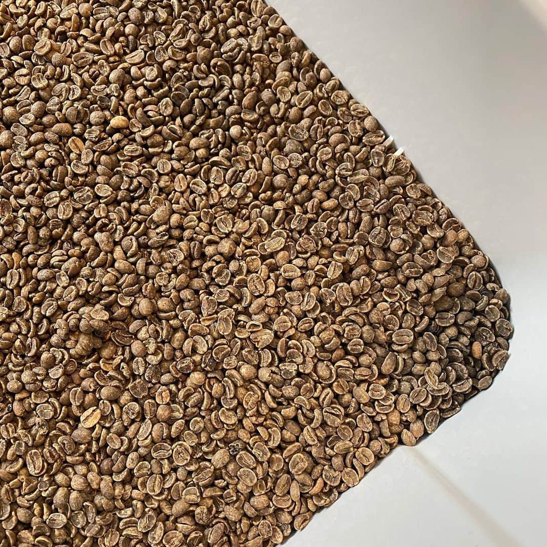 坂口憲二（THE RISING SUN COFFEE）のインスタグラム