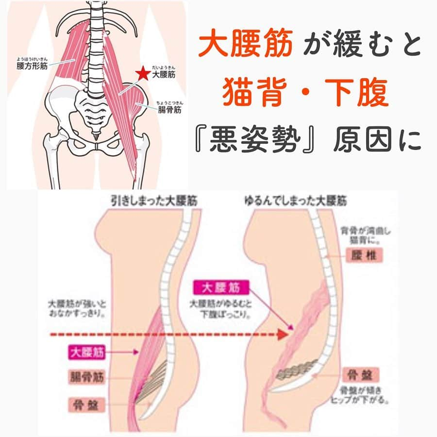 笑顔をリフォームする@健康小顔職人さんのインスタグラム写真 - (笑顔をリフォームする@健康小顔職人Instagram)「． 『大腰筋』という筋肉をご存知ですか？よく言われるインナーマッスという筋肉の一つです！ ． この筋肉が緩んだまま硬くなって固定されてしまうと骨盤が歪み反り腰になり、更に猫背の原因になります。 ． 大腰筋が硬くなっている方の症状として下記をチェックしてみてください。 ■ 長時間座ることが多い ■ 椅子から立ち上がるときに腰を伸ばしにくい ■ 仰向けに寝ると腰とベッドの間にすき間が大きくできる ■ 横向きで、膝を抱えると楽に寝られる ■ 起床時に腰が重だるいことがある ■ 長時間立っていると腰が重だるくなってくる ■ 立ったときにお尻が後ろに出すぎている、またはお腹が前に出すぎている ■ スクワットをしたときに、足の付け根があまり動かない ． どうですか？思い当たる症状はありますか？2枚目の画像のチェック方法も参考にしてみてくださいね！ ． 硬くなった大腰筋を緩めるストレッチを三枚目の画像を参照に行ってみましょう！ ． ●上のストレッチ １ 片膝立ちになります（膝は９０度） ２ 上半身はまっすぐ前を向きます ３ 前にした足にゆっくり上半身で体重をかけていきます ４ 後ろ足の方の股関節がしっかり伸びればＯＫです ●下のストレッチ １ 仰向けになります ２ 片方の膝を曲げ、両手で支えます ３ 手でしっかり押さえると、太ももの裏側が伸びます ４ しっかり伸びたら、膝を内側へ向けて同じように伸ばします。太ももの外側が伸びると思いますので、しっかり伸ばしましょう！ ． ． 沢山の幸せな笑顔が世界中に溢れますように🌈✨ ． ． 💆🏻‍♀️心美体を整える「小顔整顔トリートメント」 👰ブライダル小顔🤰マタニティ小顔＆足リフレ ♨️代謝を上げる「Hot&Coldストーンリンパマッサージ」 ご予約はプロフ🔗→HP→予約サイトへ！ ． ． ✨気を整えて心と体を健康に！チャクラエネルギーセラピー ※Hペッパー等の予約サイトからは予約できません。ご予約は必ずホームページからお願いします(プロフ🔗) ． ． 💟あなたも小顔職人になれる👍 小顔職人養成スクール！スクール生募集中！詳細・お申込はプロフ→HP→小顔養成スクールへ！ ． ． 🍀小顔職人が作ったリフトアップクリーム&ボタニカルオイルを紹介！更に小顔や美容を解説！ @happy_cosme_kogaoshokunin ． ． #大腰筋 #インナーマッスル #猫背改善 #姿勢 #姿勢美人 #下腹ぽっこり #ストレッチ #大腰筋ストレッチ」3月9日 10時00分 - kogao_shokunin