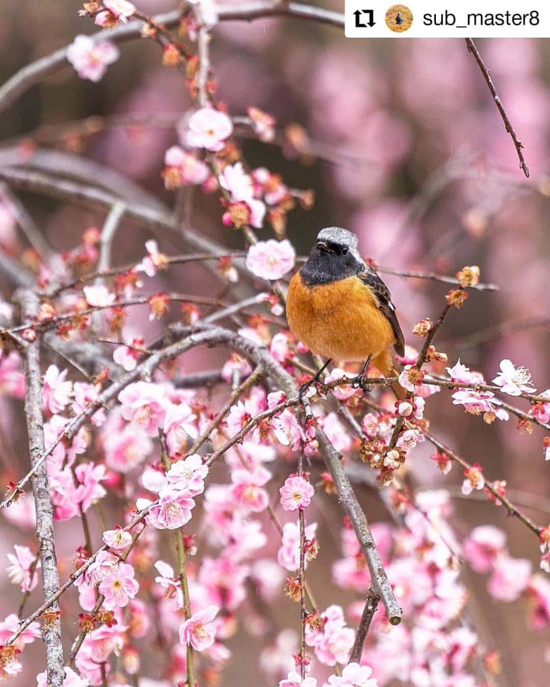 カメラのキタムラのインスタグラム