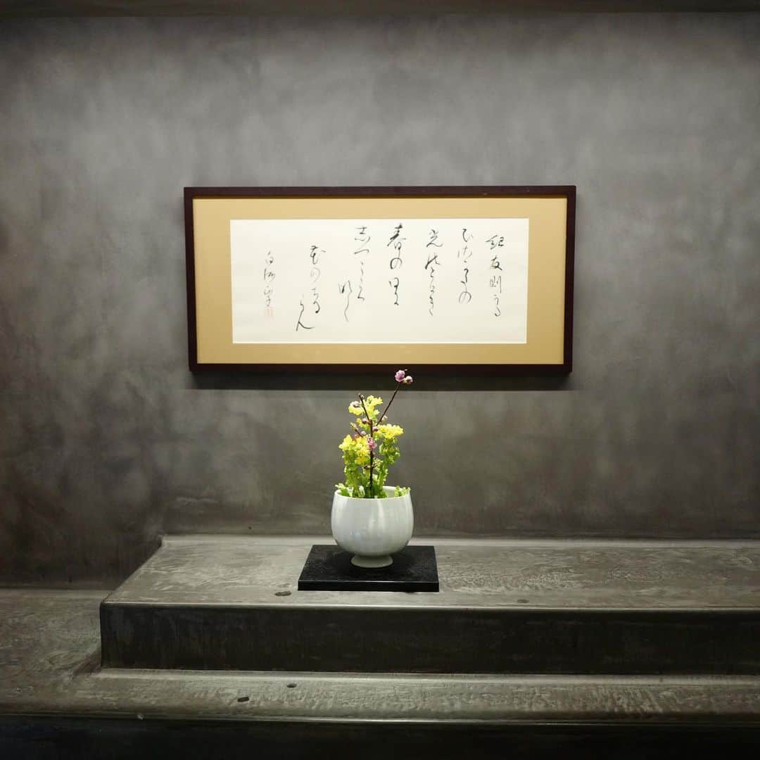 行方 久子 Hisako Namekataのグルメインスタ