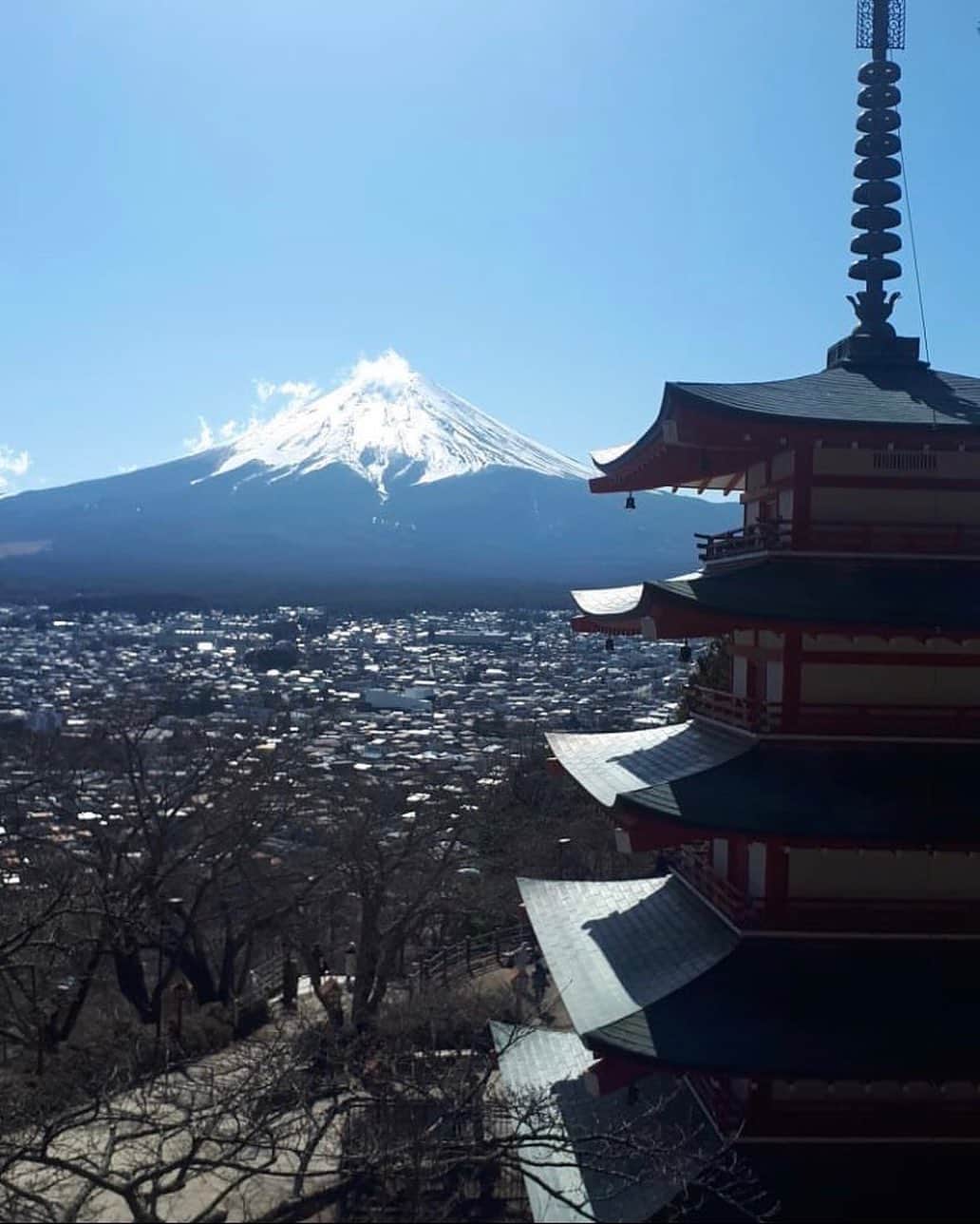 フランス大使館さんのインスタグラム写真 - (フランス大使館Instagram)「フランス人が見た日本📷 : 「天国に到着🗻」 というコメントと共に、富士山の写真を送ってくれたMelo.bondoさん。素晴らしい眺めをありがとうございます !✨ #LeJaponVuParLesFrançais 📷: « Bien arrivée au paradis ». Merci beaucoup à « melo.bondo » pour cet aperçu magnifique ! ✨」3月9日 11時56分 - ambafrancejp