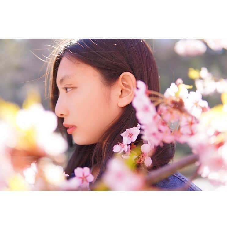 東条澪さんのインスタグラム写真 - (東条澪Instagram)「さくら🌸ラスト ・ ・ ・ ・ ・ ・ #シブサン#プラチナムプロダクション#さくら#桜#一眼レフ#jk2#jkブランド #instagood #instagram」3月9日 21時30分 - tojo_ren