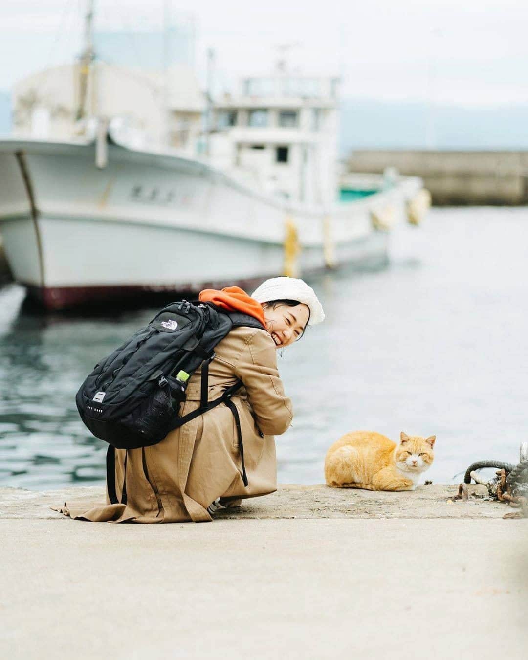 asoview! さんのインスタグラム写真 - (asoview! Instagram)「× まっちゃん（@matsucame ） 福岡県・相島は別名「猫の島」と呼ばれ、 島内に猫が多いことで有名です✨ . 猫の数はなんと150匹～200匹。 寝転んだり、お散歩したりしています♪ . ======================= スポット：相島 所在地：福岡県糟屋郡新宮町大字相島 ======================= . #アソビュー で想い出を共有しよう！ 素敵な投稿はストーリーズやウォールでご紹介します✨✨ . 今週末のおでかけにお役立てください♪ . #ダレカニミセタイフウケイ #ダレカニミセタイケシキ #ファインダー越しの私の世界 #ファインダー越の風景 #お写んぽ #カメラ散歩 #カメラのある生活 #カメラ女子 #写真が好きな人と繋がりたい #旅行好きな人と繋がりたい #日本再発見 #art_of_japan_ #team_jp_ #iGersJP #japan_daytime_view #bestjapanpics #daily_photo_jpn #bestphoto_japan #pt_life_ #jp_mood #jp_portrait部 #love_bestjapan #月刊8月のクリスマス #東京カメラ部 #関西写真部SHARE #福岡カメラ部  #福岡 #相島 #猫」3月9日 22時30分 - asoview