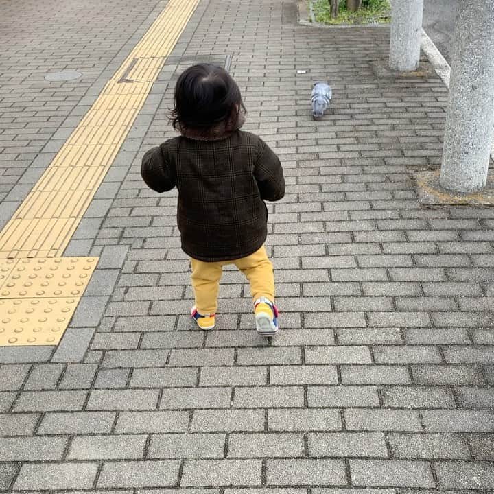 百千糸のインスタグラム：「ようやくお外でも歩けるように^_^ このなんとも言えない辿々しい二足歩行が可愛いです。 最近は朝起きてすぐにトーマスのプラレールを持ってきます。」