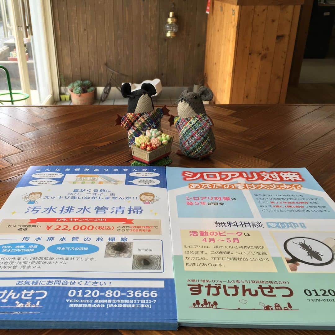 すがけんせつ(須賀建設株式会社）のインスタグラム：「おそうじキャンペーン実施中！ #すがでリフォーム  #汚水排水管清掃  #キャンペーン実施中  #シロアリ対策  #あなたの家は大丈夫？ #この機会にぜひ  #お問い合わせはお気軽に」