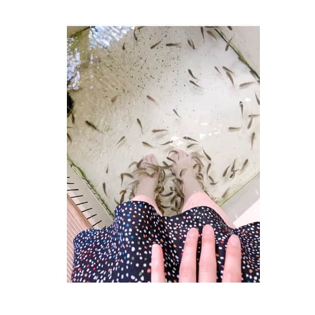 山崎萌絵さんのインスタグラム写真 - (山崎萌絵Instagram)「. ドクターフィッシュ🐟🐟🐟魚に大人気‼️くすぐったい〜(*'▽'*) . #休暇でしたかったこと #ドクターフィッシュ #初体験 #角質取ってね」3月9日 14時54分 - moeyamasaki.kbc