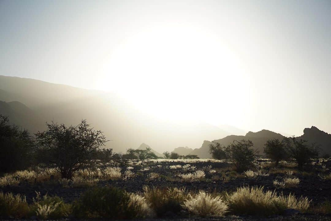 ジェームズ・ロシターさんのインスタグラム写真 - (ジェームズ・ロシターInstagram)「Amazing times in Oman. Beautiful country and amazing hospitality. 🙌🏼 @hauterouteoman @leger.la」3月9日 15時48分 - rossiterracing