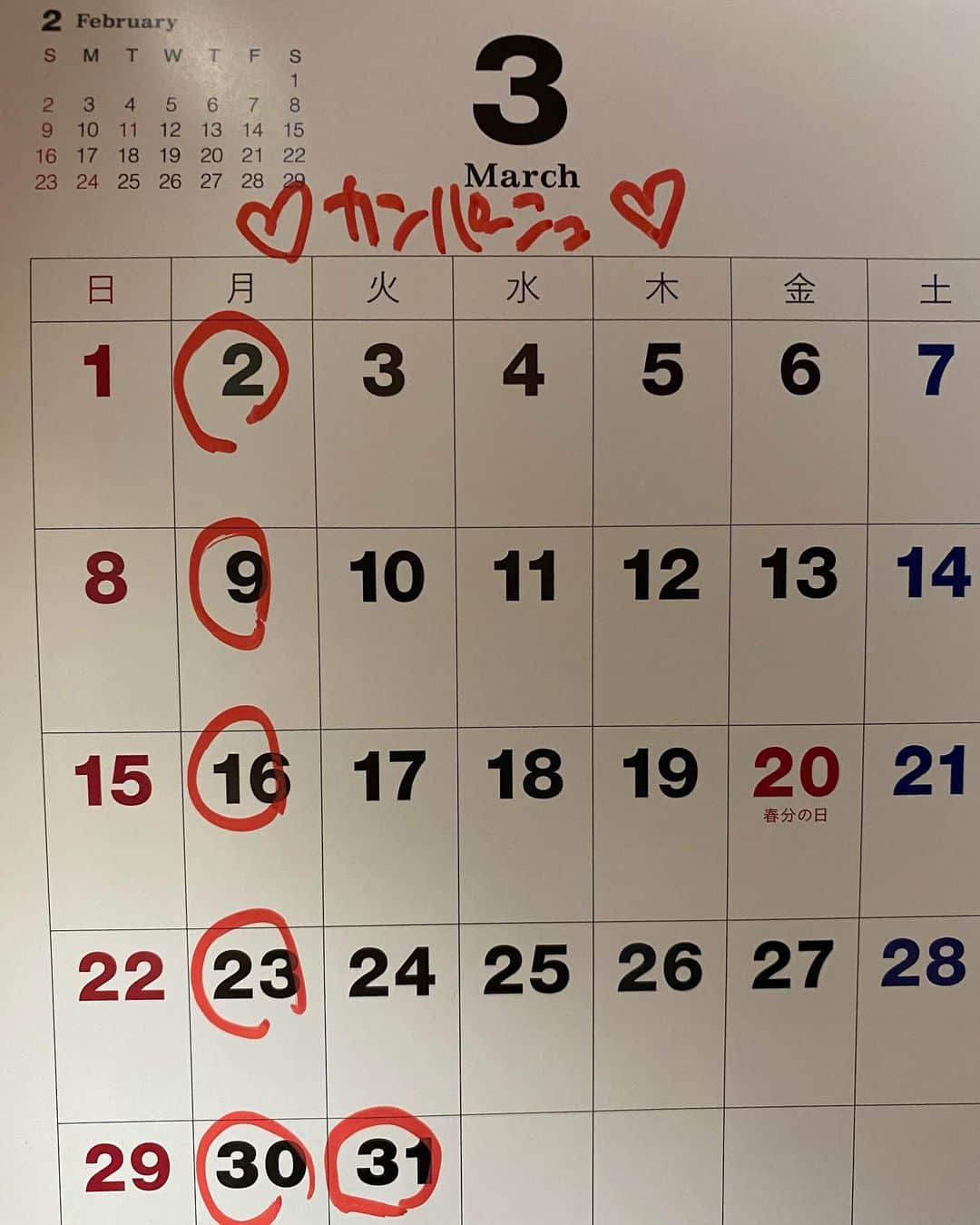 魔女菅原のグルメインスタ