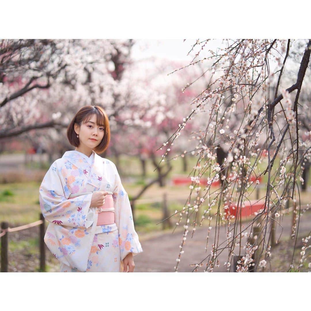 小川あゆ美のインスタグラム：「. お花見🌸 . . . . . #梅 #花見 #着物 #ポトレ女子 #着物ぶらり旅 #はなまっぷ #花フレンド #お写んぽ #広がり同盟 #東京カメラ部 #ポートレート部 #東京女子部  #kimono #unknownJapan  #japaneseapricot #ume #team_jp_ #lovers_nipppn #ig_japan #bestjapanpics #portrait_shot #portraitphotography  #기모노 #매화 #꽃스타그램 #얼스타그램 #셀스타그램 #일본여행 #팔로우미 #좋아요반사」