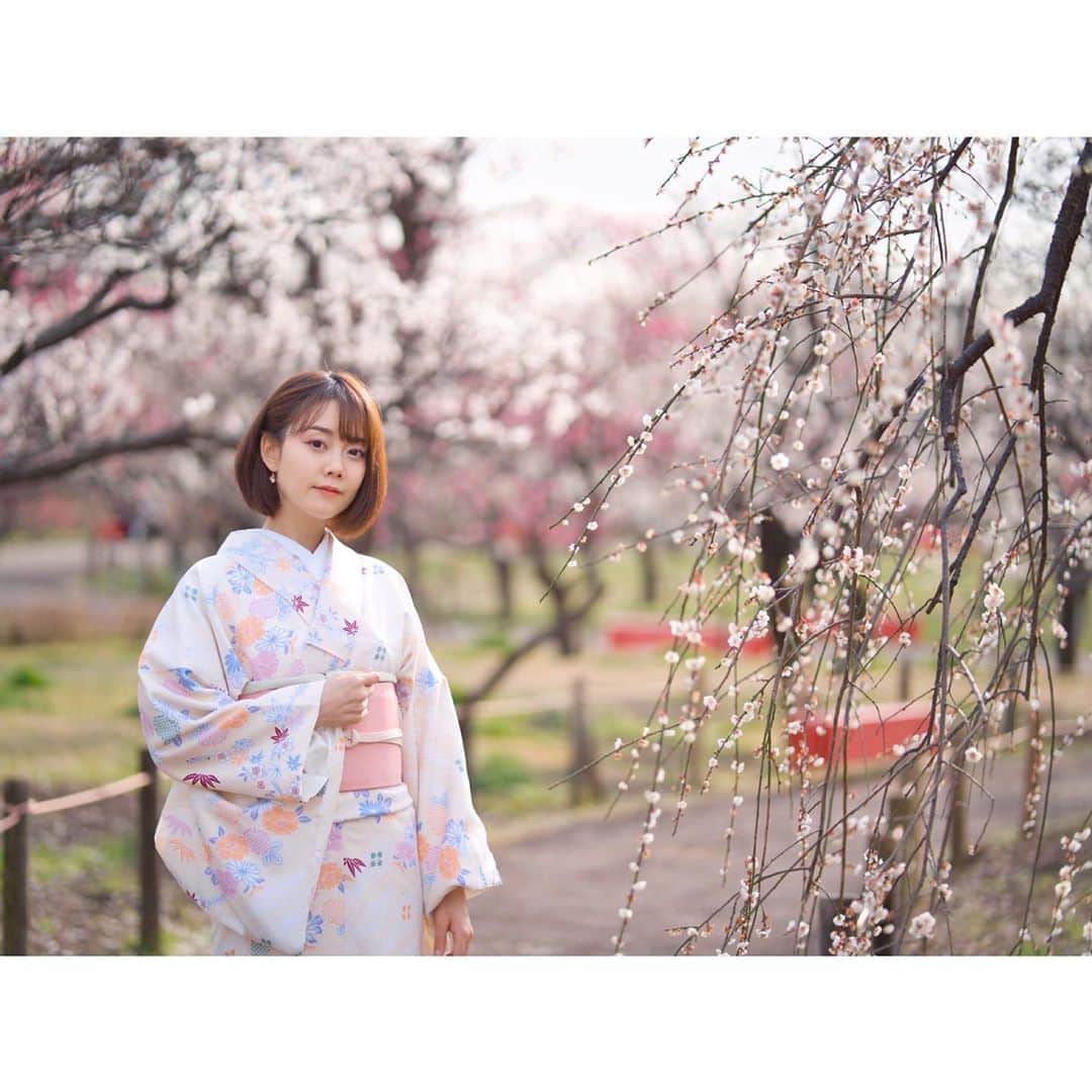 小川あゆ美さんのインスタグラム写真 - (小川あゆ美Instagram)「. お花見🌸 . . . . . #梅 #花見 #着物 #ポトレ女子 #着物ぶらり旅 #はなまっぷ #花フレンド #お写んぽ #広がり同盟 #東京カメラ部 #ポートレート部 #東京女子部  #kimono #unknownJapan  #japaneseapricot #ume #team_jp_ #lovers_nipppn #ig_japan #bestjapanpics #portrait_shot #portraitphotography  #기모노 #매화 #꽃스타그램 #얼스타그램 #셀스타그램 #일본여행 #팔로우미 #좋아요반사」3月9日 17時02分 - ayumi_ogawa