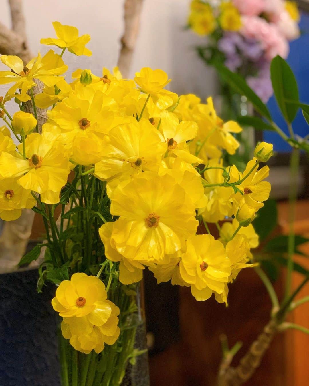 速水里彩さんのインスタグラム写真 - (速水里彩Instagram)「. 先日のロケ終わりで買ったお花が💐 お家でとっても良い感じです . #春の花 #きょうオンエアでした #🌸」3月9日 17時42分 - hayami.risa