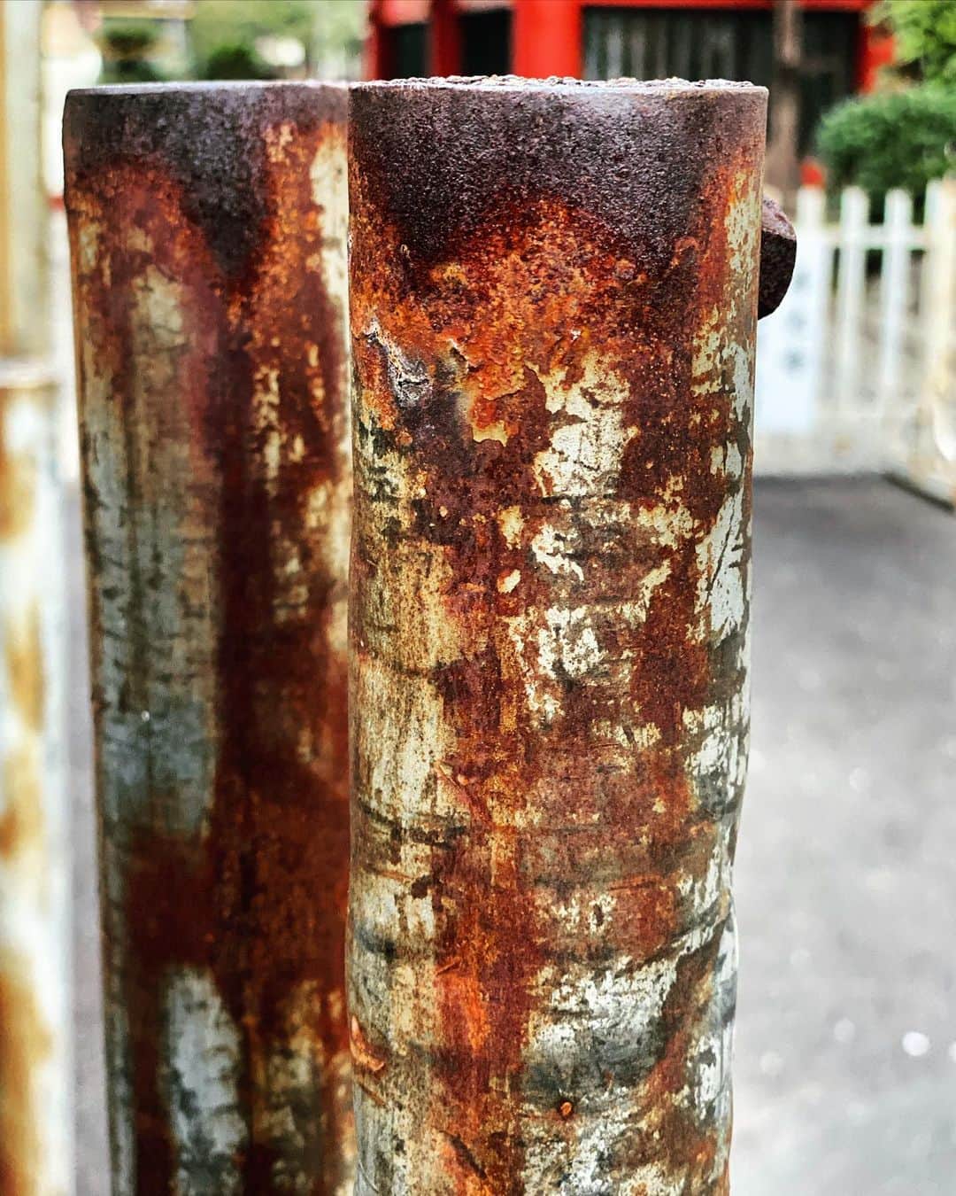 宍戸開さんのインスタグラム写真 - (宍戸開Instagram)「#錆 #rust #streetphotography #storyofthestreet #streetscenesmag #streetoftokyo #streetcinematography」3月9日 17時37分 - kaishishido