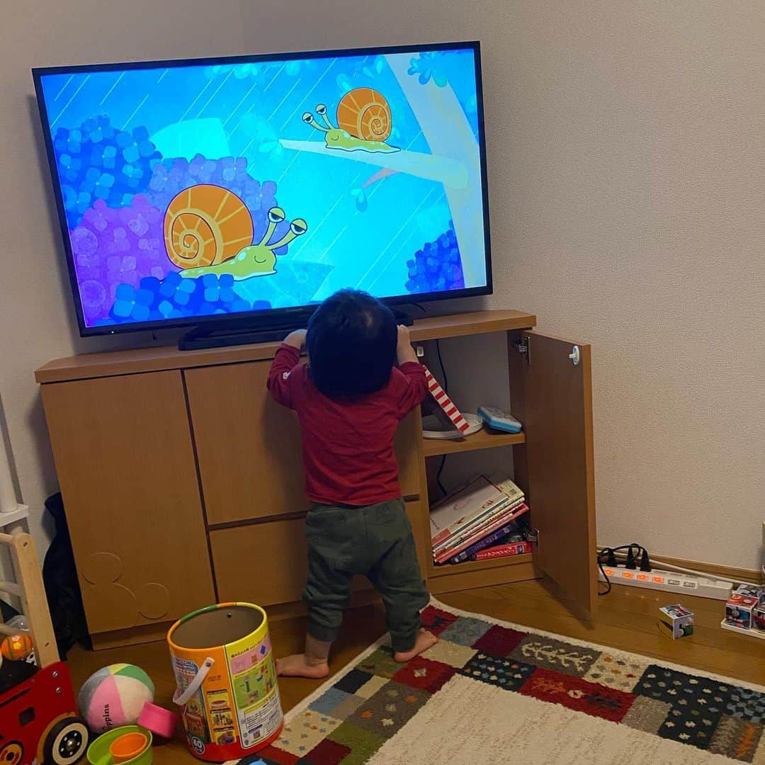 ヒラヤマンのインスタグラム：「その距離じゃテレビみえんやろ！w #もうすぐ2歳」