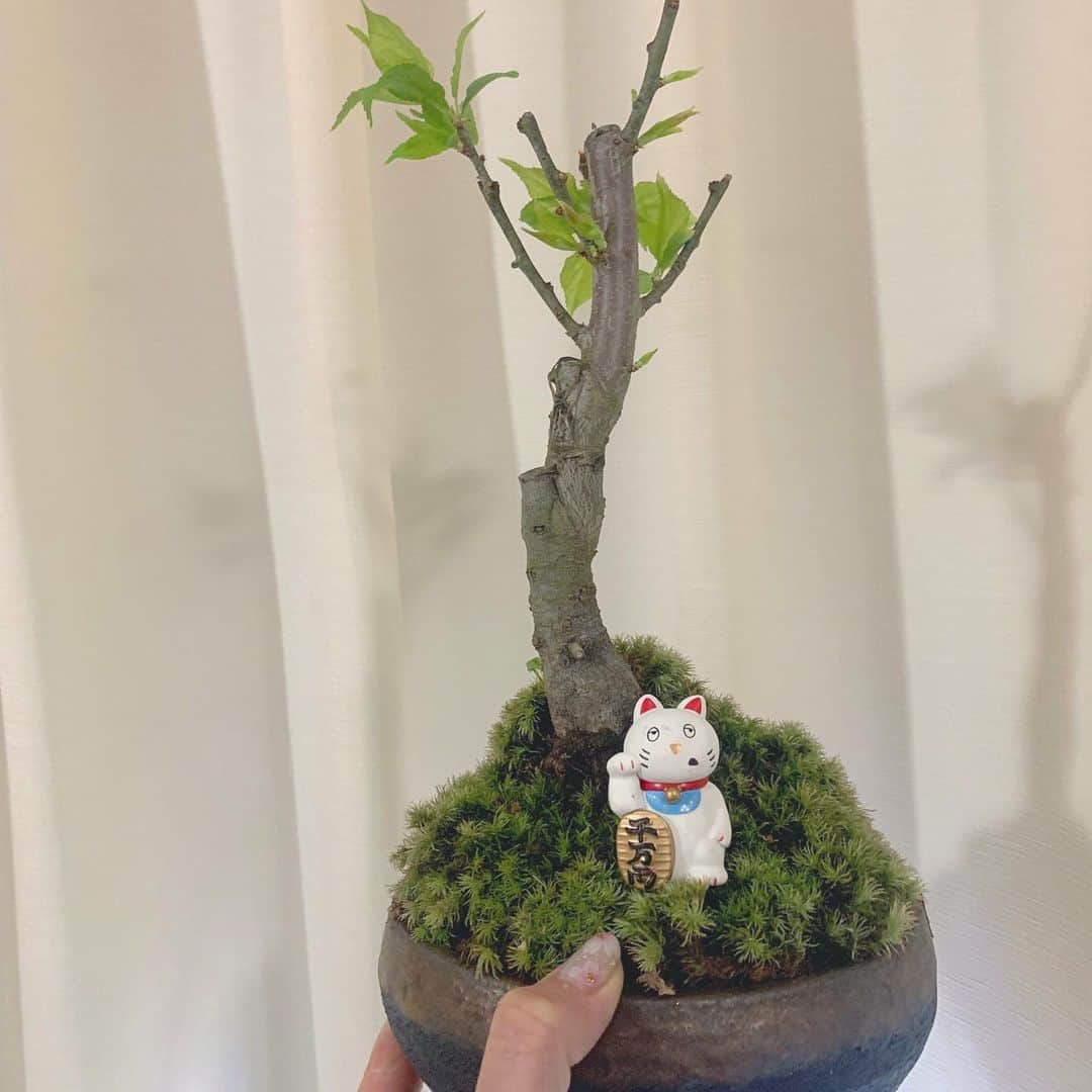 青山日和のインスタグラム