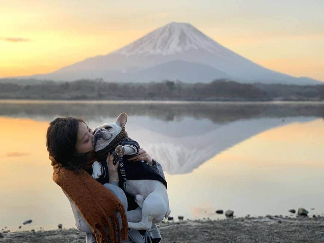 PECO いぬ部さんのインスタグラム写真 - (PECO いぬ部Instagram)「. 「景色もママもキレイだね🌟」 . #富士山をバックに🗻 #チューとされている💗 #ポトフくん🐶 #ウットリ💕 #幸せそうな笑顔🤗 #「最高〜❣️」 #regram：@potaufeu26  素敵な投稿してくださったのは… @potaufeu26 さん 他にも素敵なお写真がたくさんあるので、ぜひ遊びに行ってみてくださいね♪  #pecoいぬ部 をつけて投稿すると… PECOで楽しくご紹介させていただきます😆  #犬 #犬バカ部 #いぬら部 #いぬ部 #わんこ #いぬ #instadog #ilovemydog #ilovedog #dogstagram #dogsofinstagram  #doglife #mydogiscutest #todayswanko #doglover #フレンチブルドッグ #フレブル #frenchbulldog #frenchie #いぬすたぐらむ #犬のいる暮らし #富士山 #mtfuji」3月9日 21時00分 - pecodogs