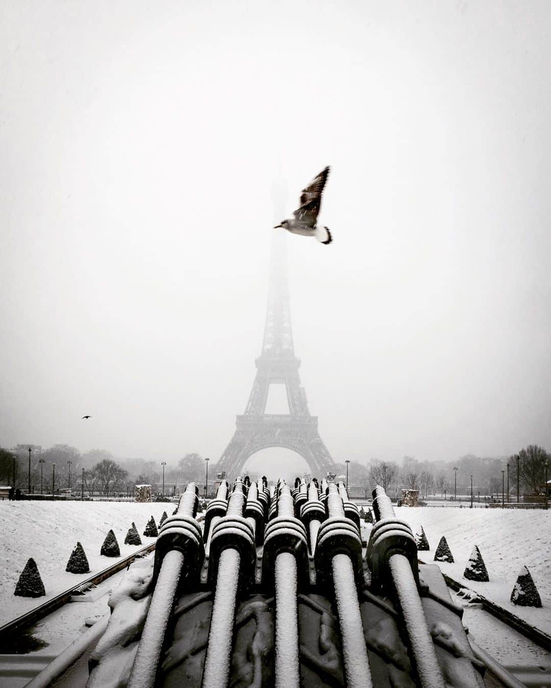 jeffさんのインスタグラム写真 - (jeffInstagram)「I expected some snowflakes this winter in Paris 😏」3月9日 21時18分 - jeffonline
