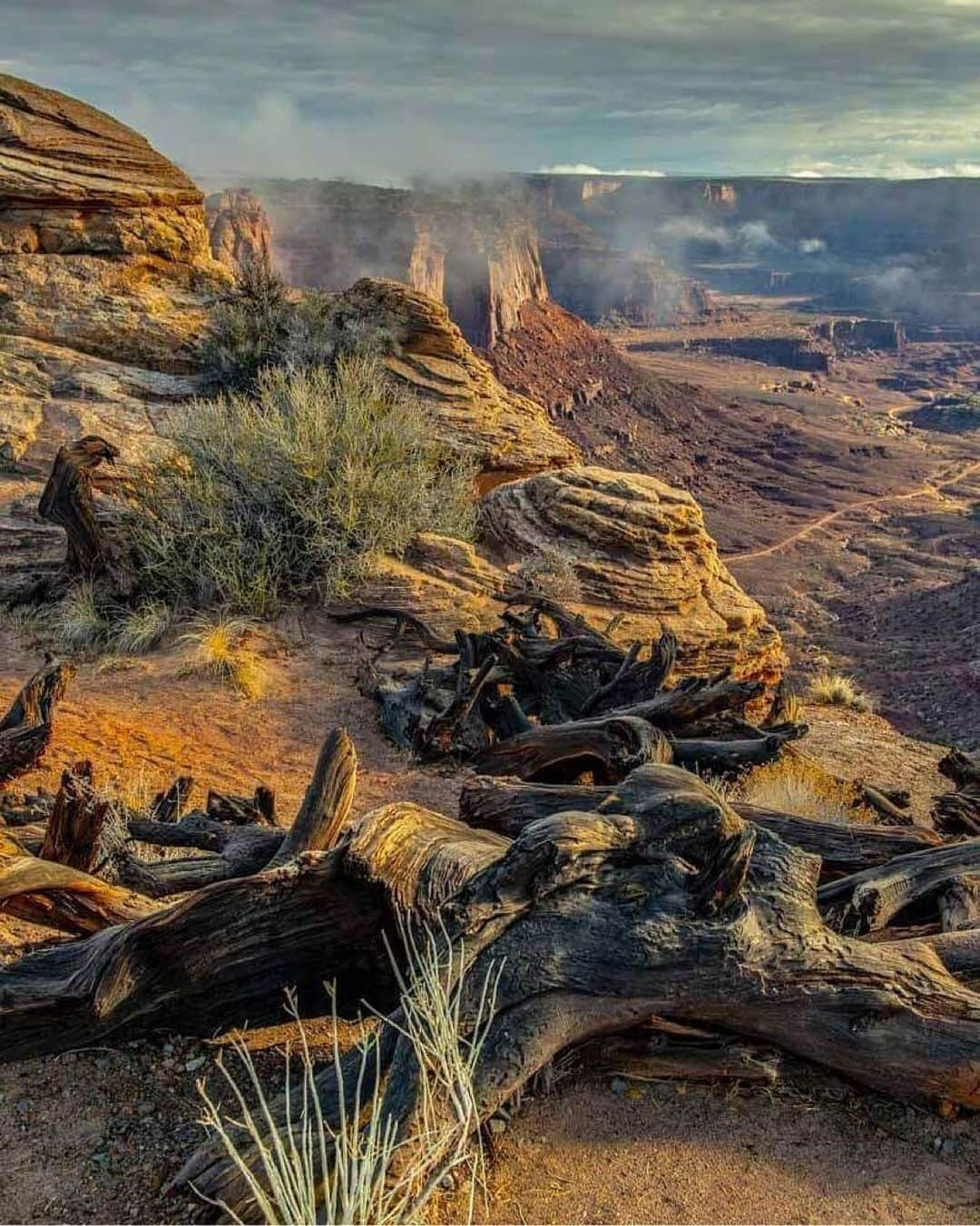 Ricoh Imagingさんのインスタグラム写真 - (Ricoh ImagingInstagram)「Posted @withregram • @frankleeruggles I love it when the light comes through and the clouds in such a way that for a brief moment everything looks like a painting.  Canyonlands National Park, Utah  #canyonlandsnationalpark @canyonlandsnps #utah #utahphotographer #visitutah #utahphotography #utahisrad #goldenhourlight  #sunrise_sunset_photogroup #sunrise_and_sunsets  #sunrise_sunset #instaphoto #landscapephotography #nationalparkgeek #earthpix @nationalparkservice #picoftheday @nationalparktrust @usinterior #earth_shotz #exploremore #goexplore #NPGeekAmbassador #optoutside #nationalparkgeek #nature @natgeo #79yearsproject  #outdoorphotomag #nationalparks  #traveldestinations #traveldestinations #national_park_phototography #moabutah #pentax645z #pentax645ambassador @ricohpentax @ricohusa  #mediumformat」3月9日 23時13分 - ricohpentax