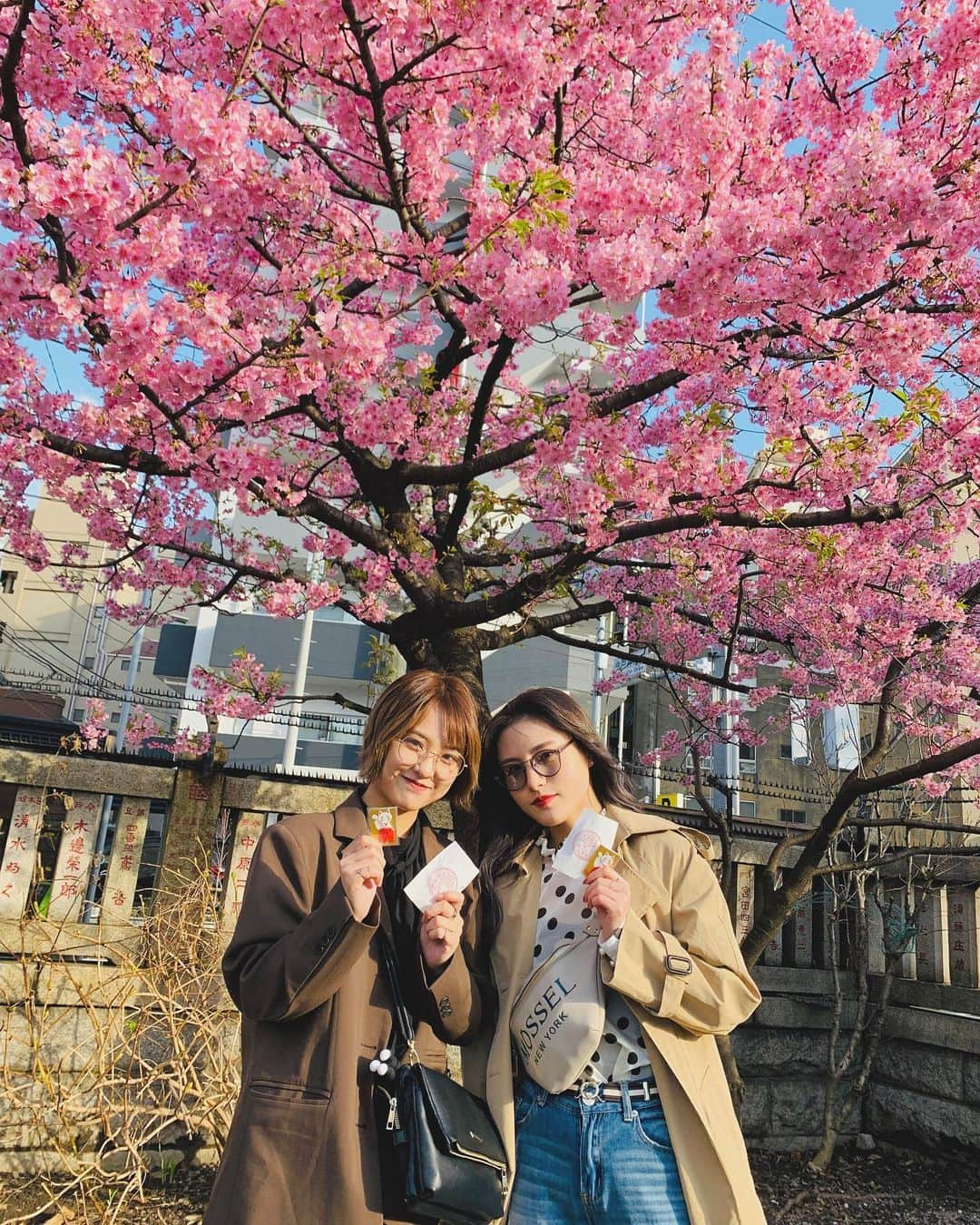 山田菜々美さんのインスタグラム写真 - (山田菜々美Instagram)「. 早めに桜見れたん 嬉しすぎた🌸🌸🌸 . #桜 #浅草 #今戸神社 #メガネコーデ  #やまりんチャンネル」3月9日 23時31分 - team8yamada0209