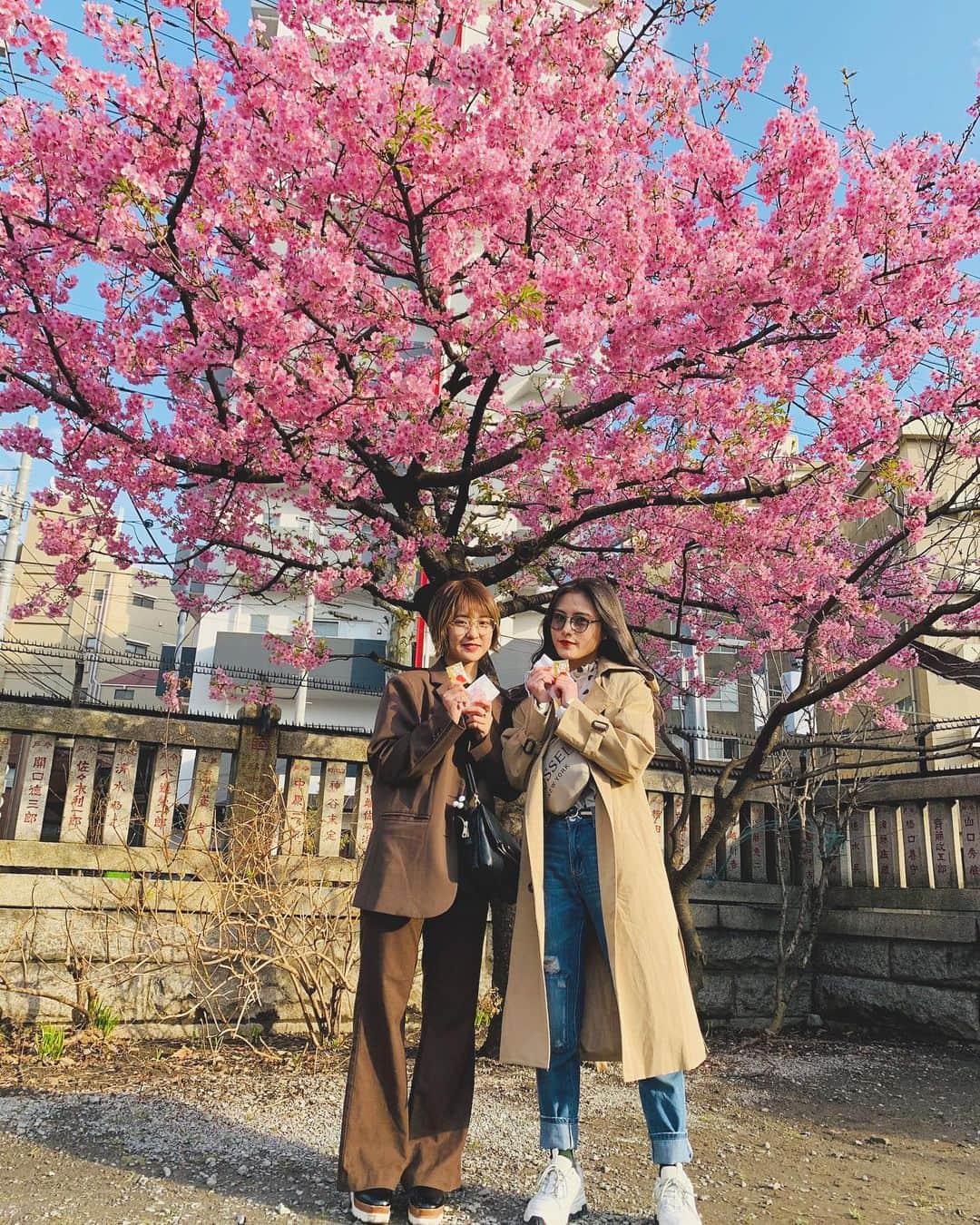 山田菜々美のインスタグラム：「. 早めに桜見れたん 嬉しすぎた🌸🌸🌸 . #桜 #浅草 #今戸神社 #メガネコーデ  #やまりんチャンネル」