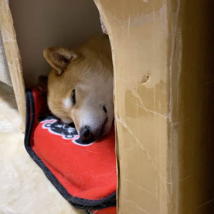 まる（まるたろう）のグルメインスタ