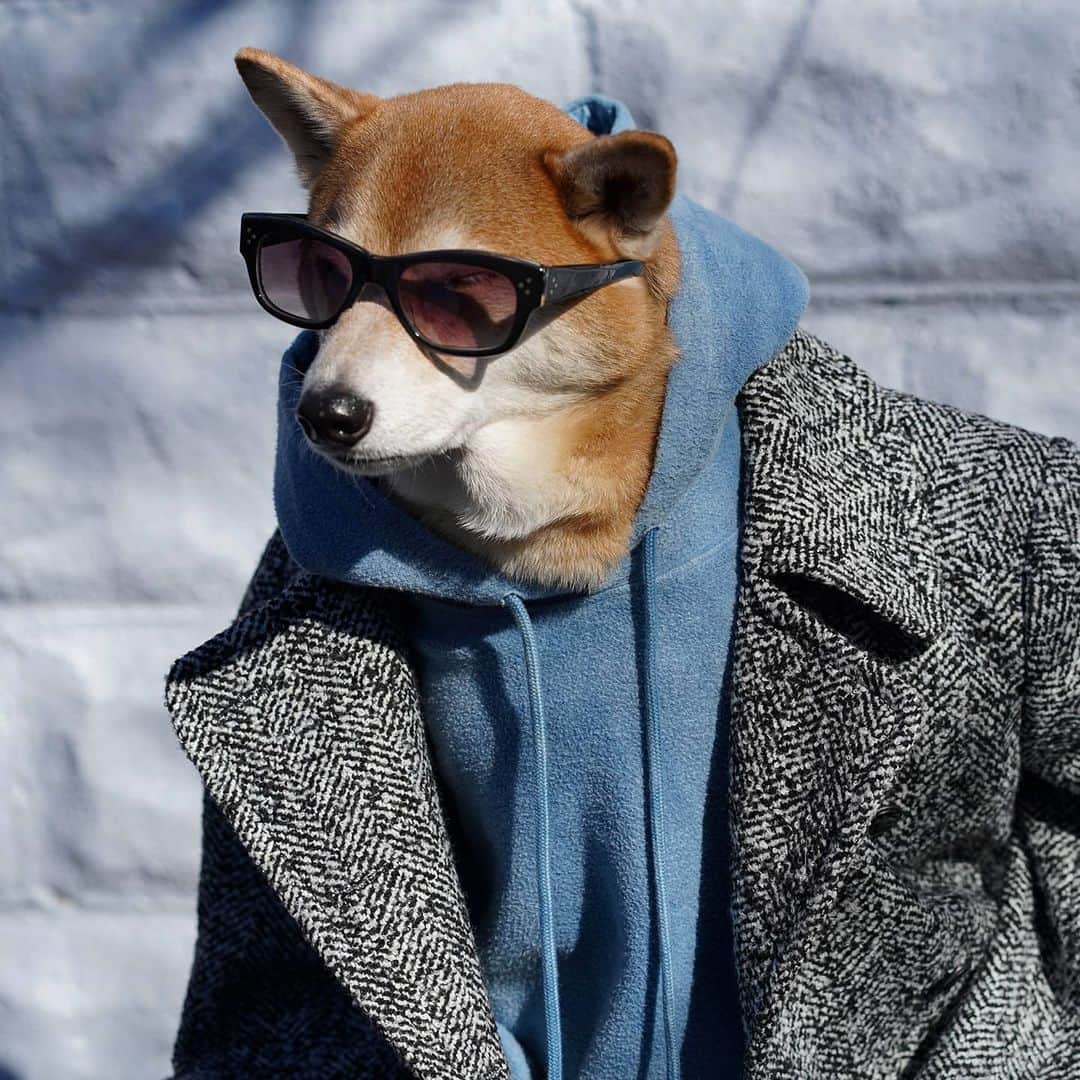 Menswear Dogのインスタグラム：「Hide from Monday but make it fashun 😎 Sunglasses: @oliverpeoples  Hoodie: @industryofallnations  Beanie: @acnestudios Herringbone coat: vintage」