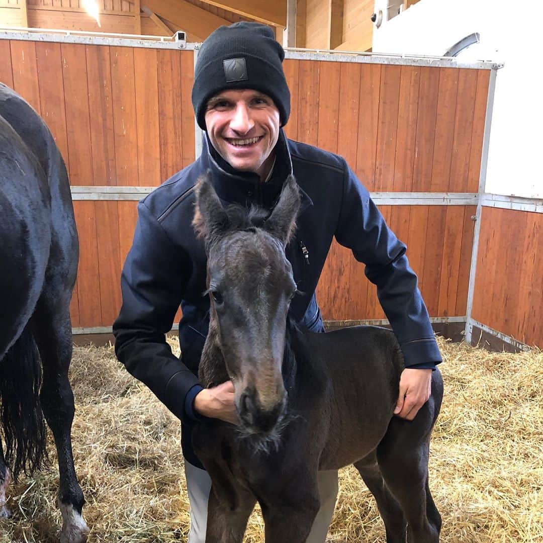 トーマス・ミュラーのインスタグラム：「Welcome to the universe my strong boy 🐴 🍼🥕. His father is called “Glamourdale” so we gave him the name “Gameday”. As you saw in my story he was born yesterday evening after our @bundesliga_en match. 📸 @lisa.mueller.official  #passion #love #horses #waitingforthecarrotmoment#socute #hebammer #guadisganga」