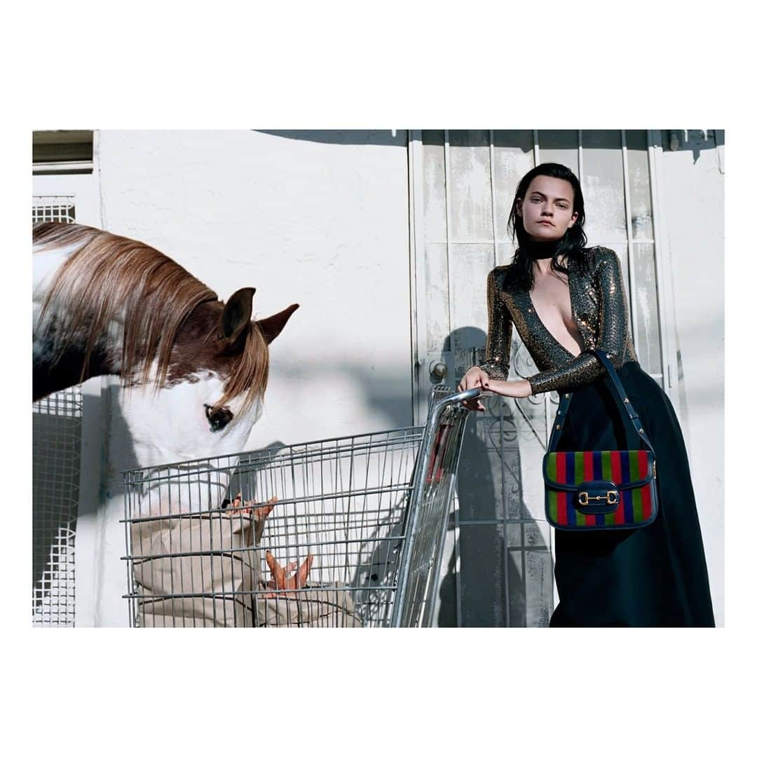 グッチさんのインスタグラム写真 - (グッチInstagram)「#OfCourseAHorse stars horses in offbeat scenarios, including eating carrots from a supermarket tray. The campaign highlights the #GucciSS20 collection by @alessandro_michele: seen here the #Gucci1955Horsebit shoulder bag in velvet with a colorful striped design. Discover more through link in bio. #AlessandroMichele」3月10日 6時00分 - gucci