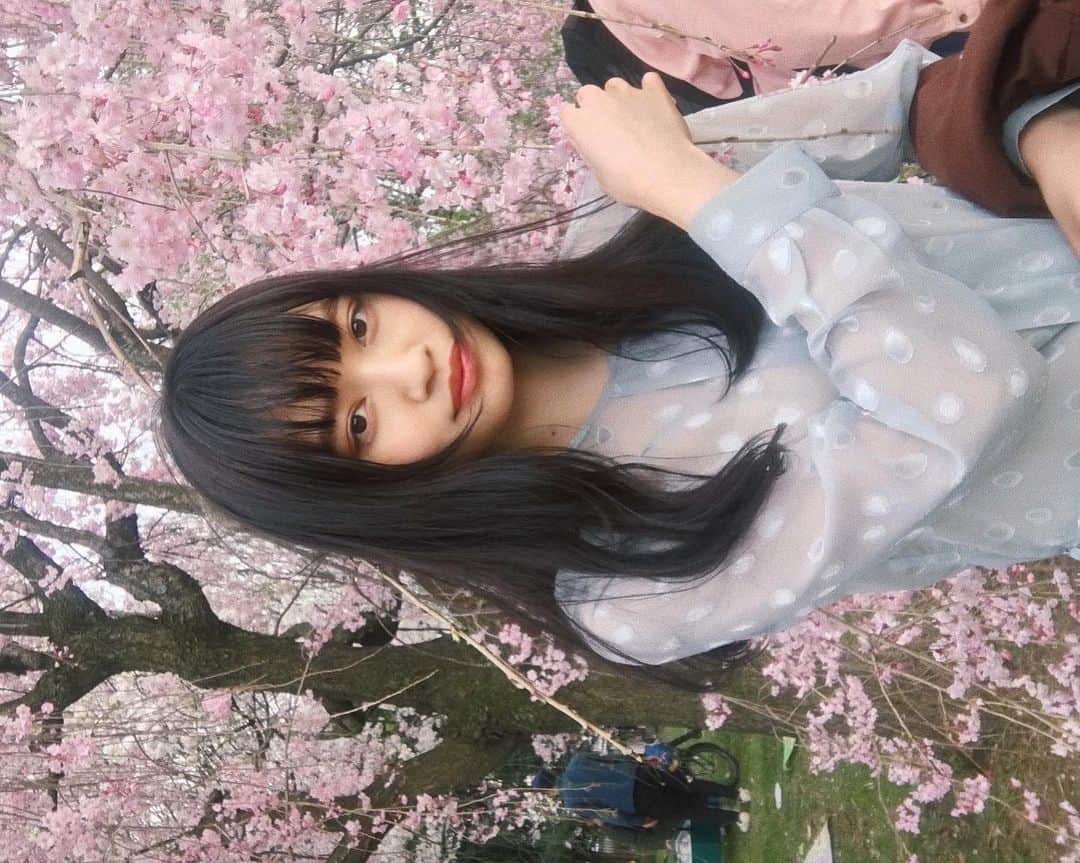 shihori.kathleenのインスタグラム：「. もう　すぐ　？🦕🌸」