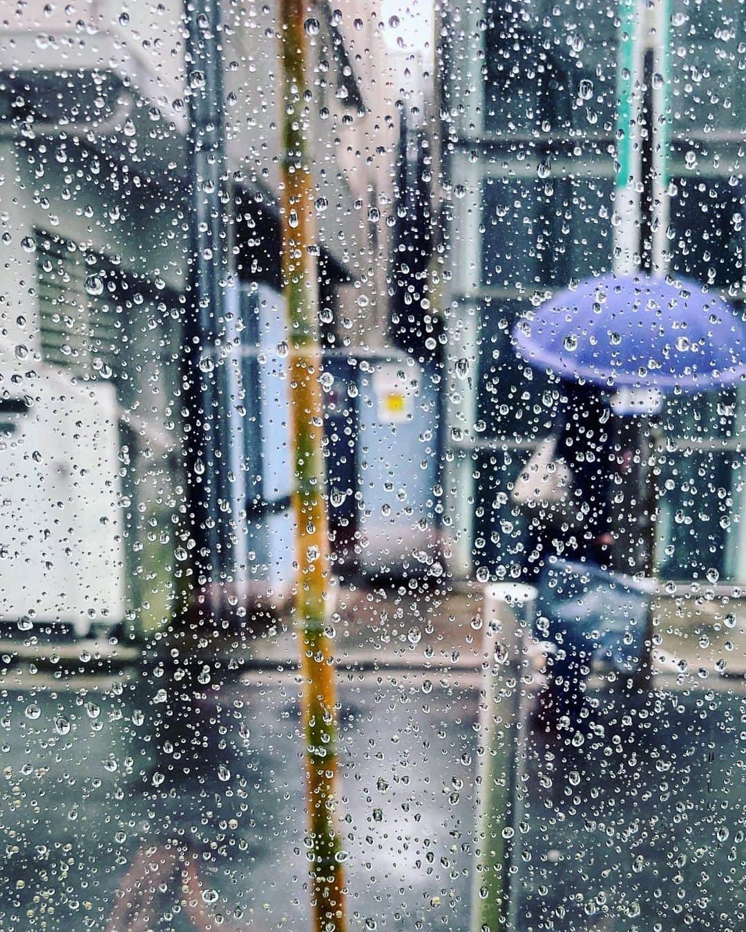 宍戸開さんのインスタグラム写真 - (宍戸開Instagram)「#rain #rainyday #drizzling #intherain #raineystreet #raindrops #rainphotography」3月10日 16時29分 - kaishishido