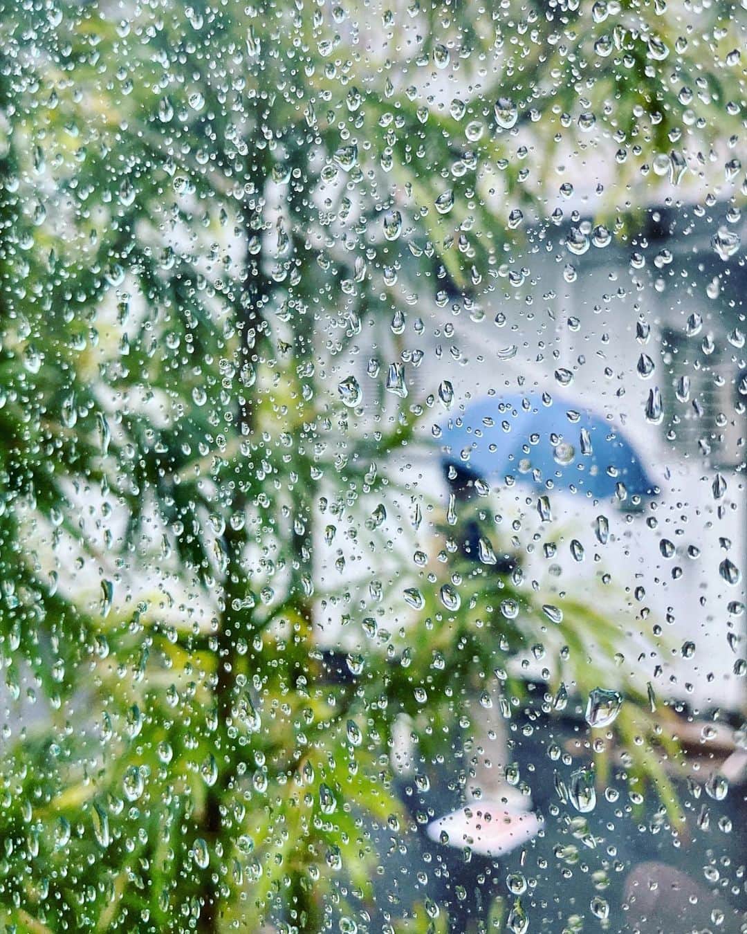 宍戸開さんのインスタグラム写真 - (宍戸開Instagram)「#rain #rainyday #drizzling #intherain #raineystreet #raindrops #rainphotography」3月10日 16時32分 - kaishishido