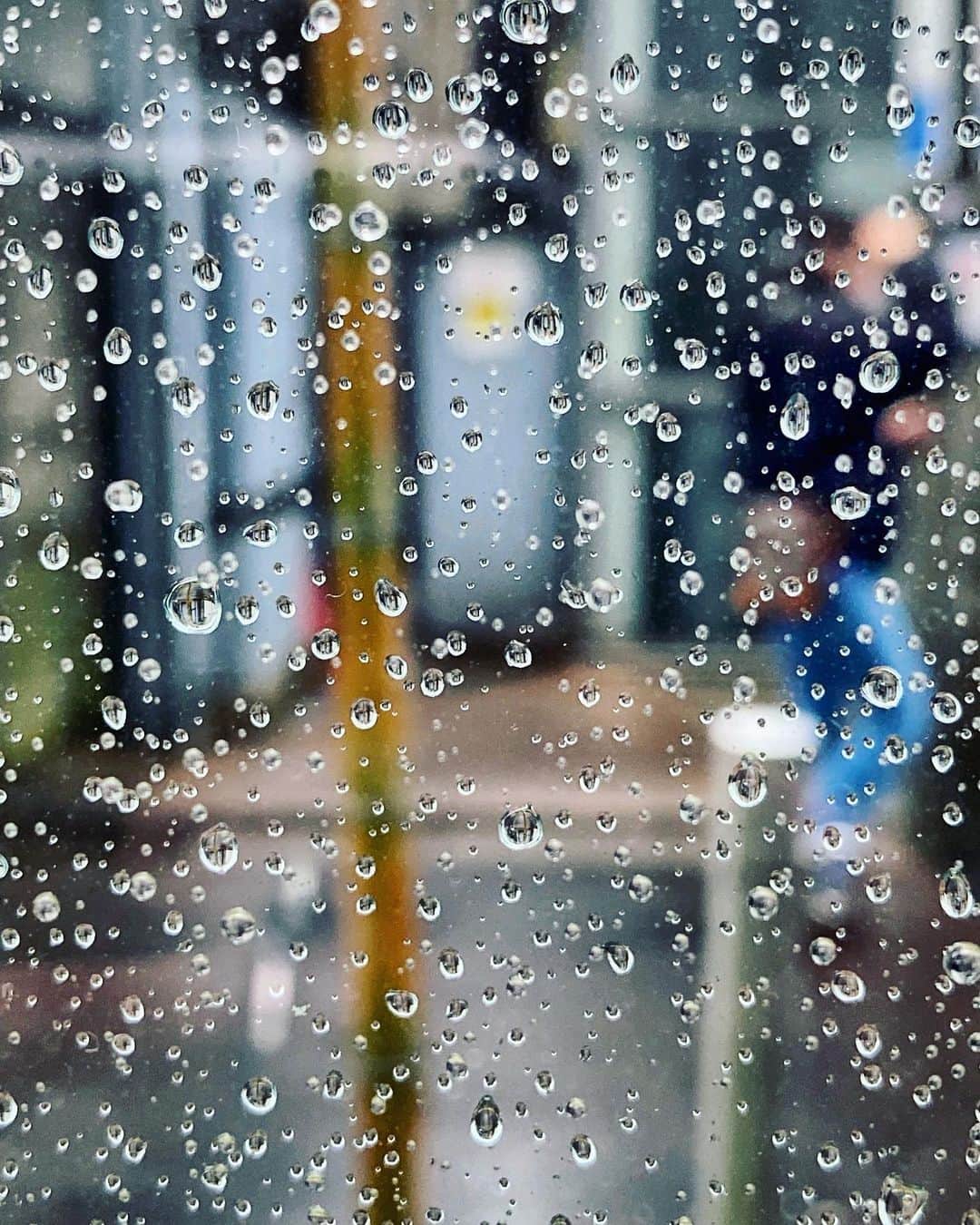 宍戸開さんのインスタグラム写真 - (宍戸開Instagram)「#rain #rainyday #drizzling #intherain #raineystreet #raindrops #rainphotography #raincinematic #raincinematography」3月10日 16時34分 - kaishishido