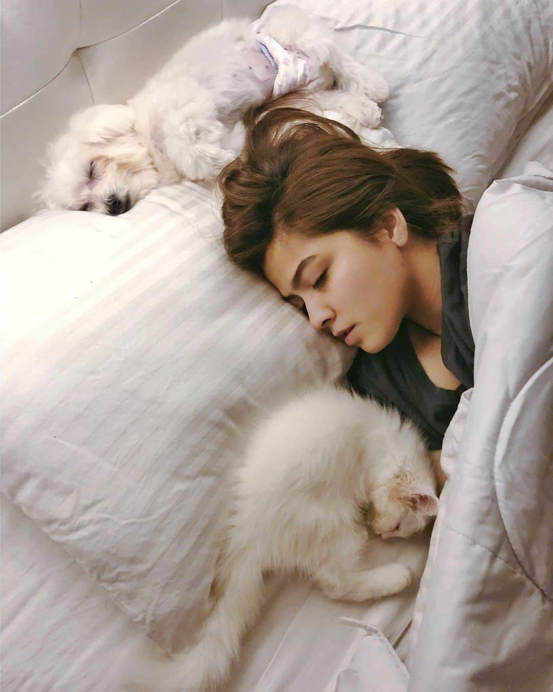 Alexa Ilacadさんのインスタグラム写真 - (Alexa IlacadInstagram)「Stay safe, stay indoors, drink your vitamins, wash your hands, chug that water & get some rest. 😴 Let us also protect the animals around us. @chillthepersian @blushclues 📷 : mom」3月10日 17時21分 - alexailacad