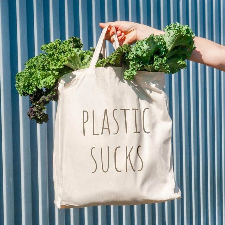 ジプシー05さんのインスタグラム写真 - (ジプシー05Instagram)「On March 1st, New York state said goodbye to plastic bags! The state has banned single-use plastic bags from being given out at retailers and grocery stores in an effort to reduce the amount of plastic waste the state's producing! Here's a few of our favorite #reusablebags 🎉 #BYOBagNY #TheRecommence」3月10日 9時12分 - gfl.earth