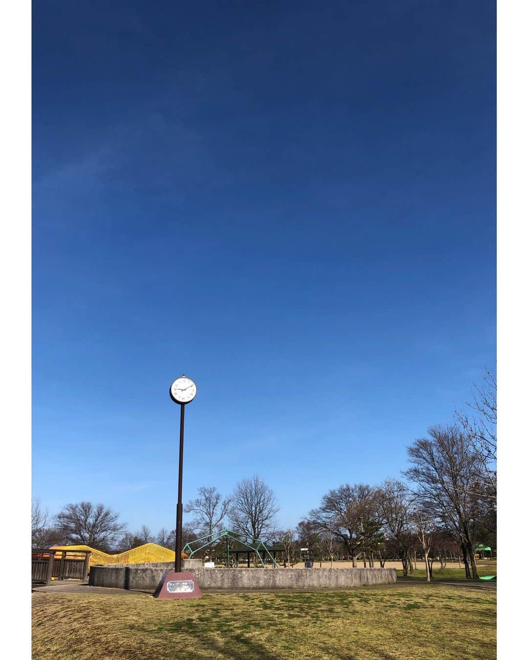 山田弥希寿さんのインスタグラム写真 - (山田弥希寿Instagram)「朝ランニングで快晴だと1日気分よし☀️✨ ・ #朝ランニング #ルーティン」3月10日 9時20分 - mikitoshi_617