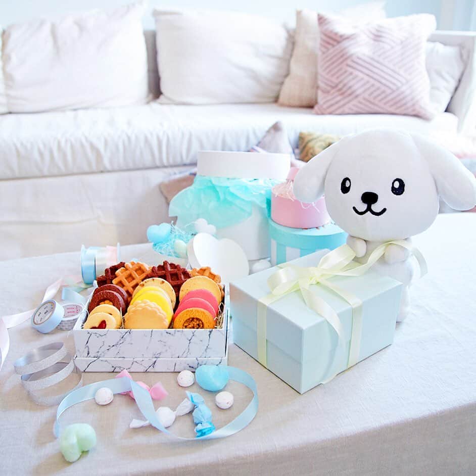 ダスキン ダス犬【公式】のインスタグラム：「今年のホワイトデーはクッキーの詰め合わせ🎁🍪 #チリトリとシミーキャットにプレゼント #みんなよろこんでくれるかなって考えながら #プレゼントを準備する時間も #幸せ」