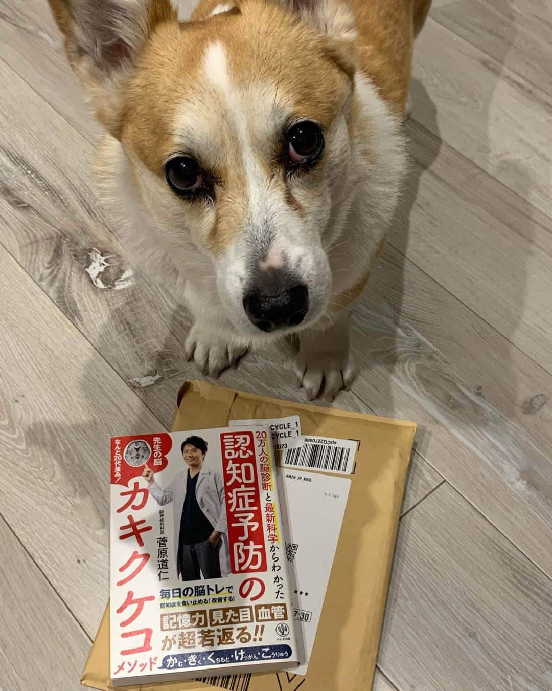 橋本志穂さんのインスタグラム写真 - (橋本志穂Instagram)「差出人不明の郵便物が お母さんに届いたよー。 開けたらこんなご本だったよー。 心配してくれたどなたかが 贈ってくれたのかなー❓ だれだろー。 ありがとー」3月10日 10時26分 - shihohashimoto3