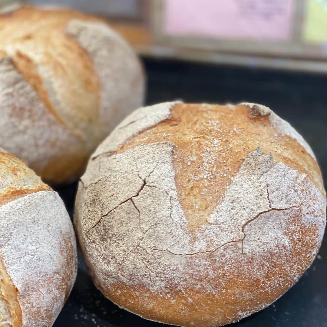 魔女菅原のグルメインスタ