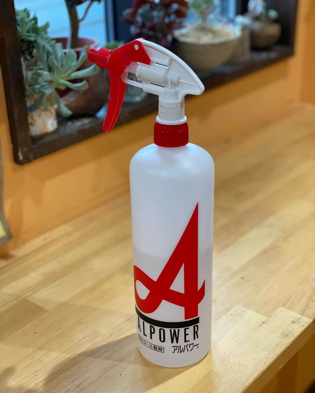 魔女菅原のグルメインスタ