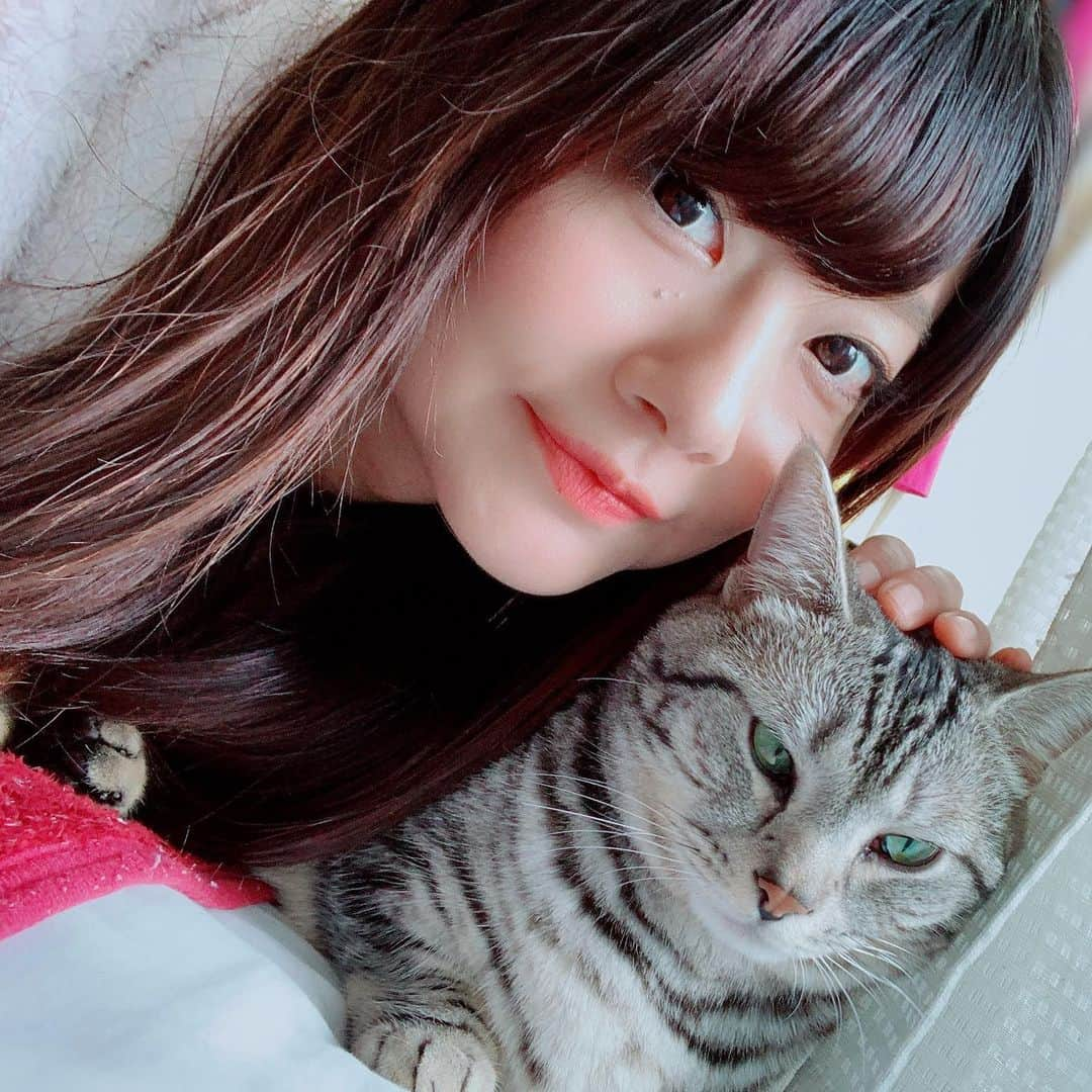 晴山由梨さんのインスタグラム写真 - (晴山由梨Instagram)「そんなに嫌がらなくても( ´･ω･`)σ"  #にゃんすたぐらむ #ねこのいる生活 #ねこのいる生活  #ソラ #マンチカン #2歳」3月10日 11時32分 - hareyama_yuri