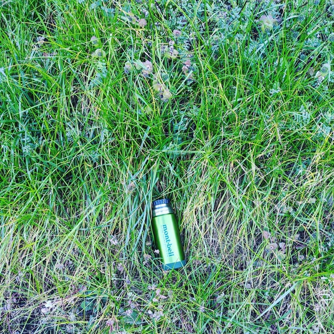 のインスタグラム：「【OUTDOOR】アウトドア用ボトルに興味が無い人はすっ飛ばしてくださいね  僕は#ミドリ好き で気持ち悪いくらい緑の物に溢れています  なぜか仕事ですと、赤やオレンジをスタイリングしていただくことが多いのですが  個人的なモノで色の選択肢があるなら、まず赤は選ばないと思います  さて、 山ヤの間で評判のアルパインサーモボトルを購入 0.35L  泉岳寺のFOREST STANDでコーヒーを買って、自転車のハンドルマウントのBOOKMANに入れていたら、振動で溢してしまい、USメイドのラウンドハウスのカーペンターパンツにビシャッと🚰 ハイテンスチール製の自転車は衝撃吸収性が無いから色々と暴れます。その点クロモリは超優秀です（これはまた別の機会に）  せっかく映画館で美味しいコーヒーを飲もうと思ったのに！！ あまりにもショッキングだったので、その足でモンベル品川店へ  天地にシリコンが付いていて、自転車やモトでツーリングするときにカランコロン転がるのをガードしてくれます。あとは圧倒的に軽い。 保温保冷もかなり凄いのですが、ここは他のメーカーも競ってきているので同レベル。  これセブンコーヒーが入れられるサイズを作ったらもっと売れるのに！ 緑だからセブンイレブン（ファミマも）の色なのに！  高さが引っかかって入りませんでした  フタがコップになりますが、普段使いは外しちゃってます  #mybottle #片手サイズ #トラベルライター #ライター #アウトドアライター #ウルトラライト #登山 #トレッキング #緑 #green #グリーン #マイボトル持ち歩きたい派 #映画館に行く #montbell #モンベル #保温保冷 #coffee #コーヒー #ケージはブックマンよりRALが良いね #今度名古屋に寄ったときは買うリスト入り #outdoor #camp #キャンプ #アウトドア #ツーリング #トレイルラン #トレラン」