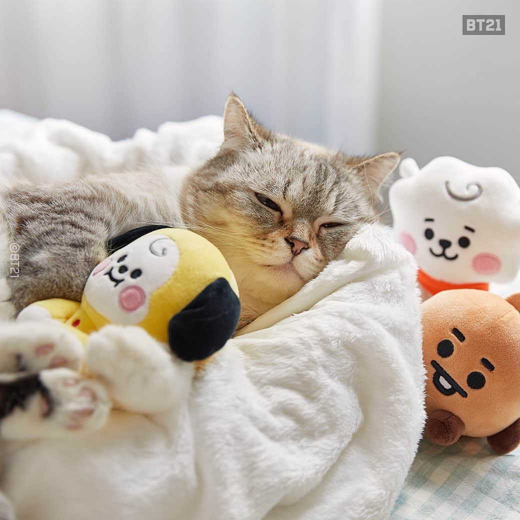 BT21 Stars of tomorrow, UNIVERSTAR!さんのインスタグラム写真 - (BT21 Stars of tomorrow, UNIVERSTAR!Instagram)「The cat making real claims for the plushies.🤣 ⠀ Come take a closer look! > Link in bio  #BT21BABY #BT21 #BABY #cute #character #doll #cutecharacter #cutie #cutebaby #uwu #smol #dolls #cat」3月10日 12時02分 - bt21_official