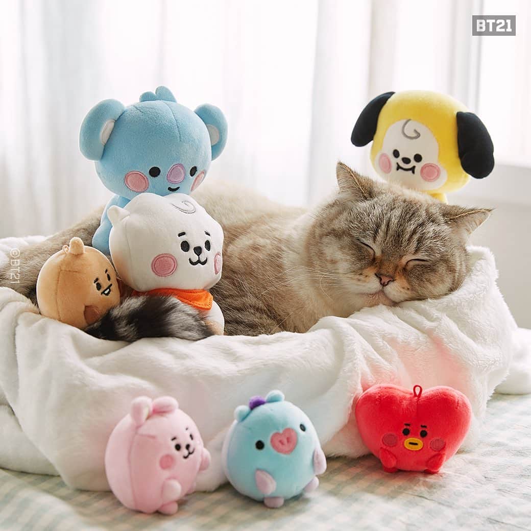 BT21 Stars of tomorrow, UNIVERSTAR!さんのインスタグラム写真 - (BT21 Stars of tomorrow, UNIVERSTAR!Instagram)「The cat making real claims for the plushies.🤣 ⠀ Come take a closer look! > Link in bio  #BT21BABY #BT21 #BABY #cute #character #doll #cutecharacter #cutie #cutebaby #uwu #smol #dolls #cat」3月10日 12時02分 - bt21_official