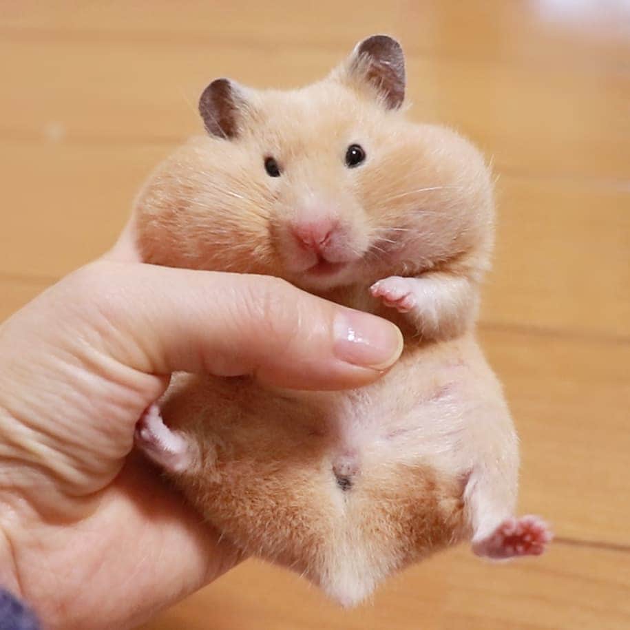 M nakataのインスタグラム