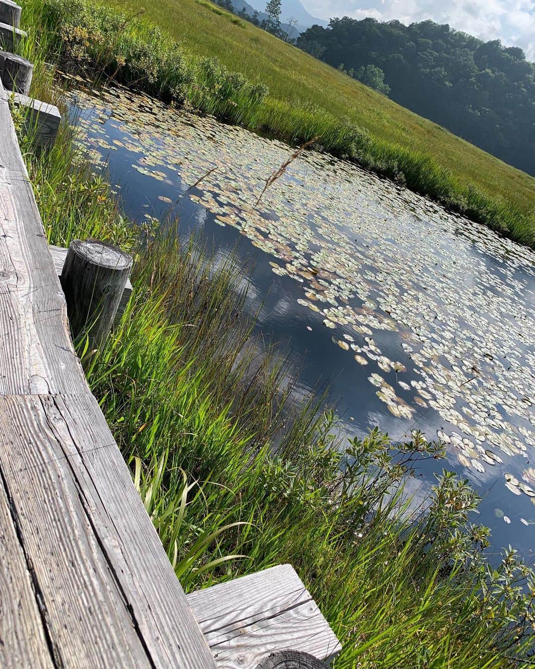 尾瀬旅のインスタグラム：「どんな空も優しく映しかえす池塘。木道からそっとのぞく。(初春） photo by nousagi  #尾瀬とtepco　#ozextreme　#尾瀬 #oze #尾瀬旅　#discoveroze  #igtravel #instagramjapan  #山が好きな人と繋がりたい  #ファインダー越しの私の世界　 #japantrip #旅の思い出　 #旅好き　#traveljapan　#綺麗な景色　 #かわいい　#美しい　#自然　 #誰かに見せたい景色 #travel　#travelgram #旅行好きな人と繋がりたい #自然好き　#ハイキング　#hike #木道 #ふぉと #landscape #travelxp #road」