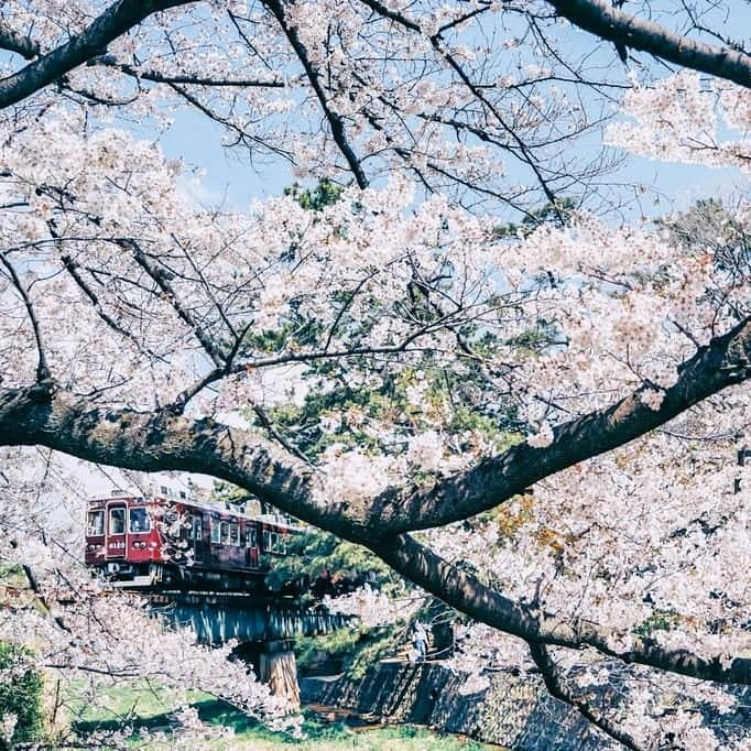 高橋伸哉のインスタグラム