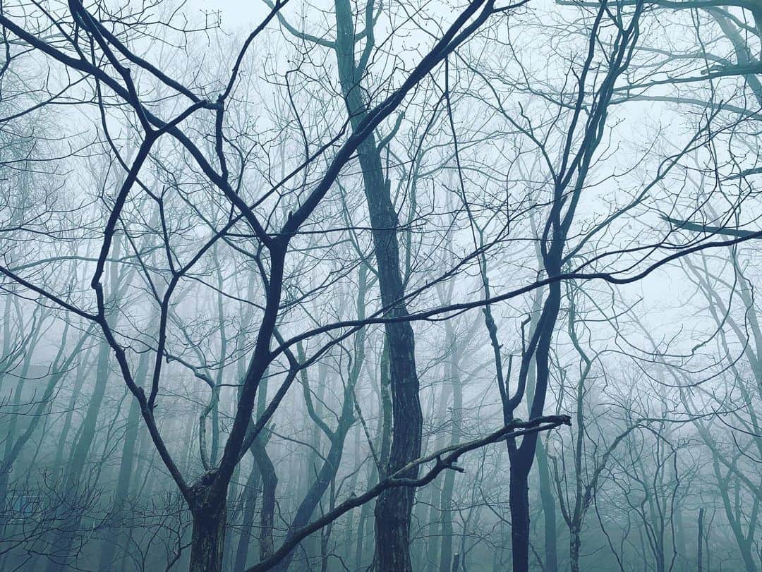 井浦新さんのインスタグラム写真 - (井浦新Instagram)「Foggy Mountain Vision Quest」3月10日 12時18分 - el_arata_nest