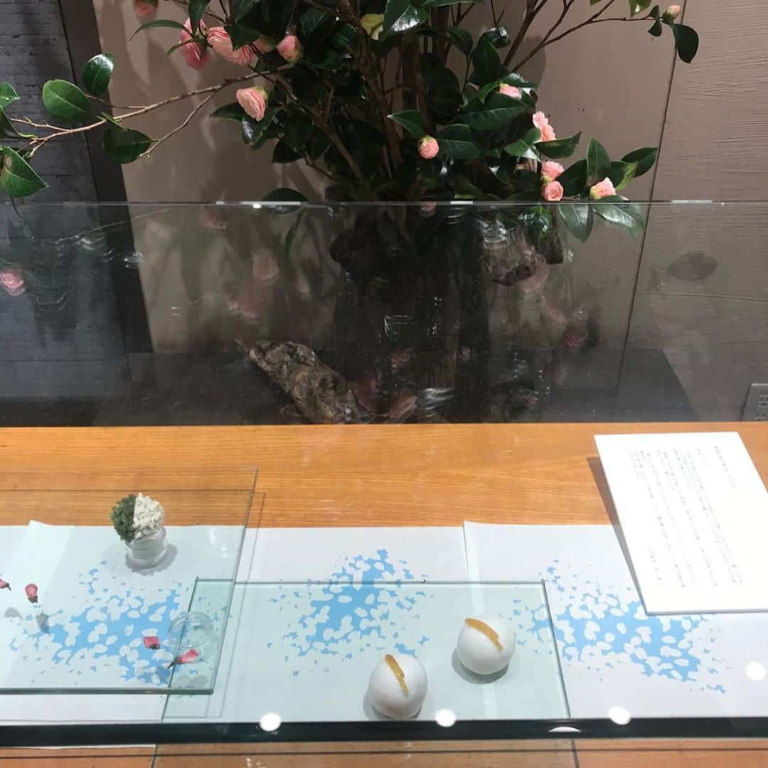 Karinさんのインスタグラム写真 - (KarinInstagram)「Suzukake 鈴懸 @suzukake_official  These are traditional Japanese cakes called wagashi.  Ce sont des gâteaux japonais traditionnels appelés wagashi.  photo 1 : Sakura(cherry blossoms),Yamawarau,Ichigo(strawberry)daifuku 桜、山笑う、苺大福  photo 2 : Suzu,Suzunoenmochi,Sougetsu 寿々、鈴乃○餅、草月  日本に帰ってきて、デパ地下の洋菓子コーナーを見るも食べる気になれず…和菓子コーナーへ！ 日本人としてお恥ずかしい限りですが、今頃和菓子の素晴らしさを噛み締めております。  #wagashi #karinsgroumet #yolo #parislife #instagood #instadaily #tflers #model #paris #asianfashionmodel #organic #bio #parisienne #trip #japan #japonais #和菓子　#グルメ #パリ #フランス #パリ生活 #オーガニック  #管理栄養士 #野菜ソムリエ #美容 #旅」3月10日 15時32分 - kaorikarin_u