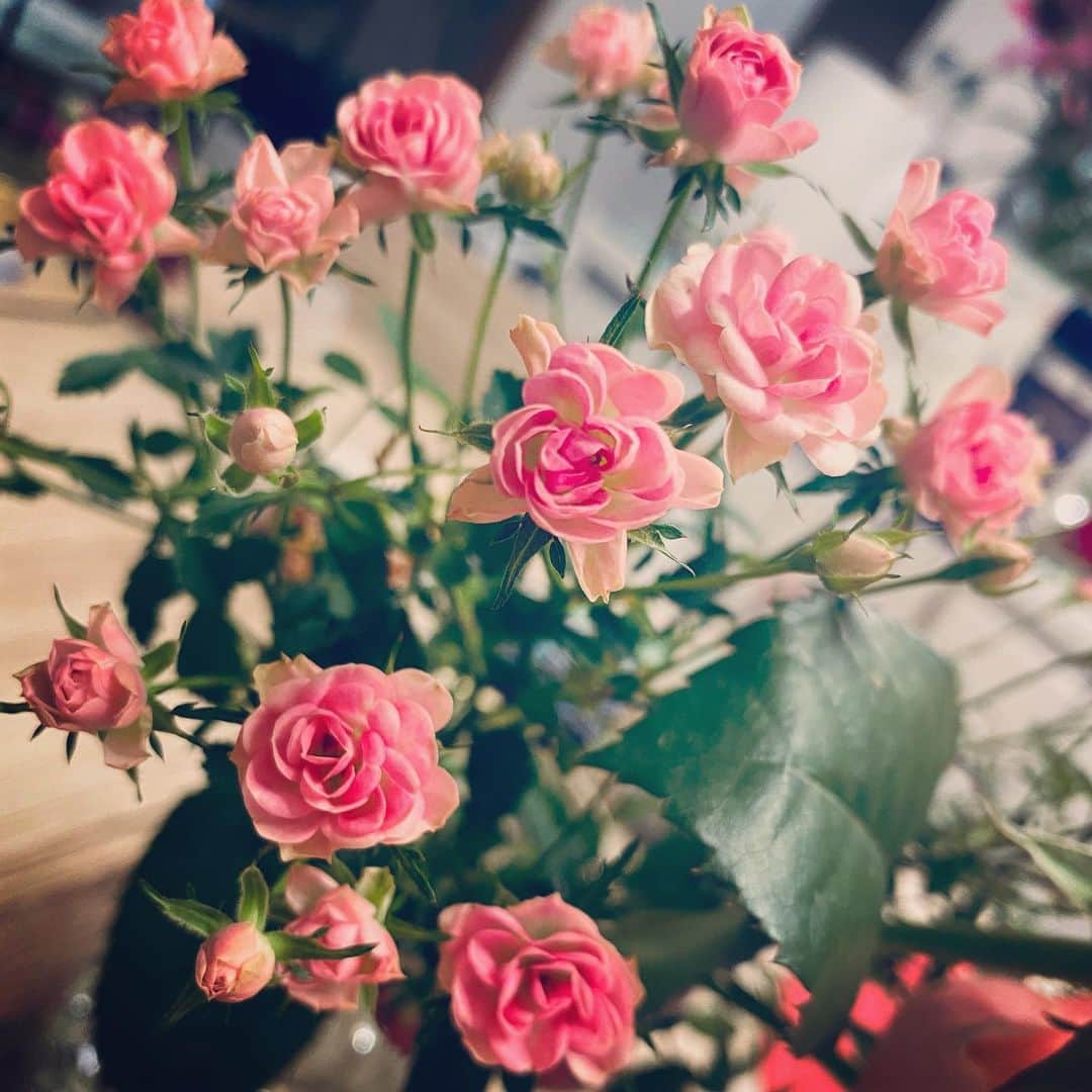 谷桃子さんのインスタグラム写真 - (谷桃子Instagram)「日常にお花のある暮らし✨🌸 ステキな空間☺️✨☘️ #beautiful #life #ミニバラ」3月10日 15時53分 - momoko5999